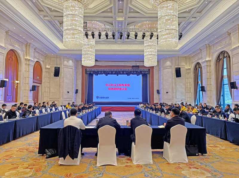 引江補(bǔ)漢工程專(zhuān)家組調(diào)研工程建設(shè)情況并組織召開(kāi)專(zhuān)家座談會(huì)